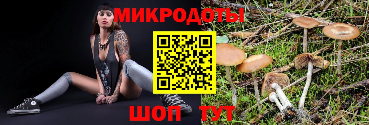 Галлюциногенные грибы прущие грибы Берёзовский